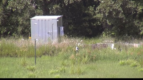 capture-2-23-07-31_15-43-03-25