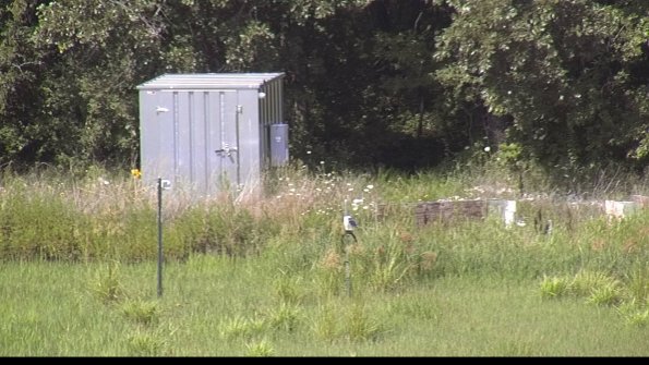 capture-2-23-07-31_16-11-13-18