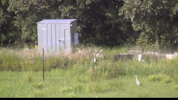 capture-2-23-07-31_17-16-13-23