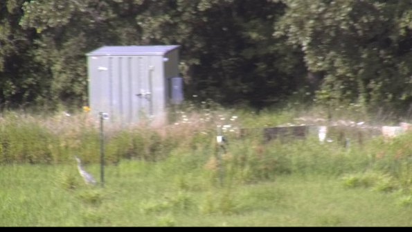 capture-2-23-07-31_17-20-32-22