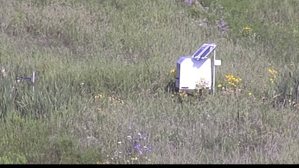 capture-4-23-07-31_08-50-44-19