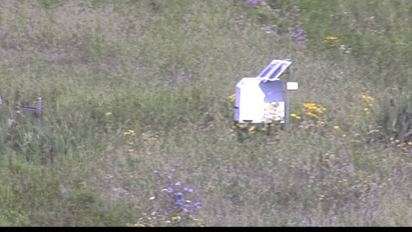 capture-4-23-07-31_10-14-15-26