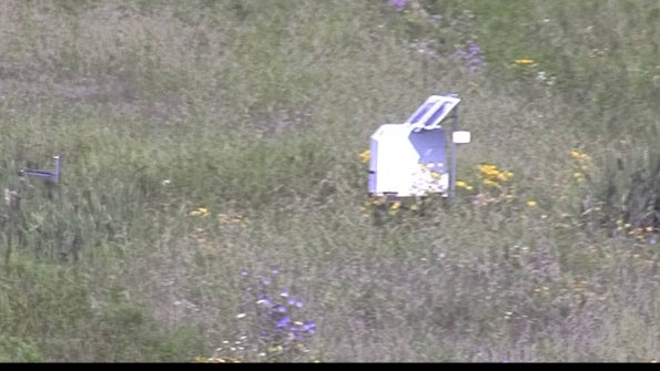 capture-4-23-07-31_10-31-35-01