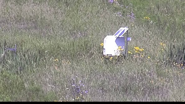 capture-4-23-07-31_11-34-25-20