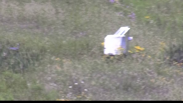 capture-4-23-07-31_13-00-23-42