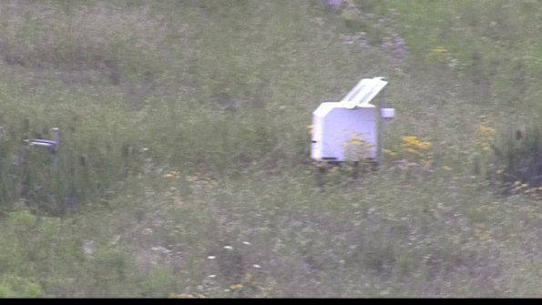 capture-4-23-07-31_15-21-41-56