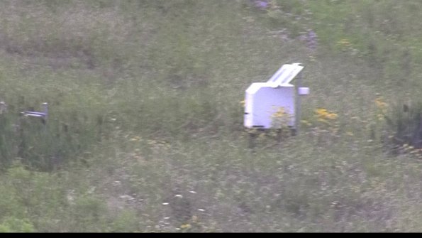 capture-4-23-07-31_15-23-51-29