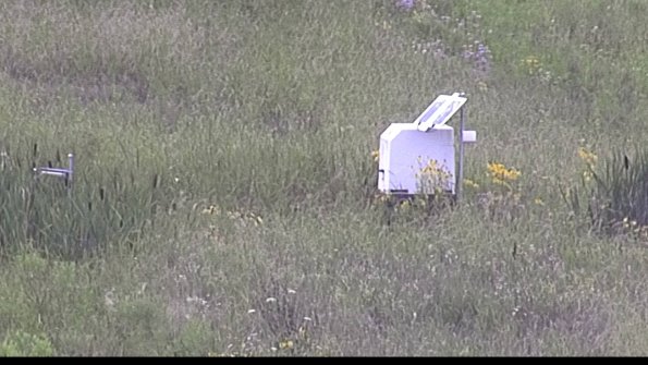 capture-4-23-07-31_15-26-02-36