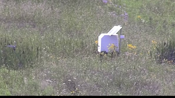 capture-4-23-07-31_15-43-21-50