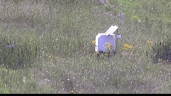 capture-4-23-07-31_15-49-51-39