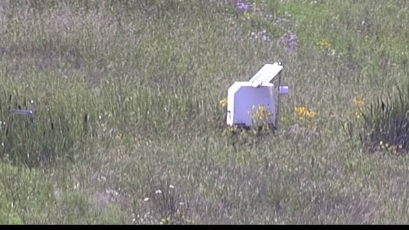 capture-4-23-07-31_16-02-51-58