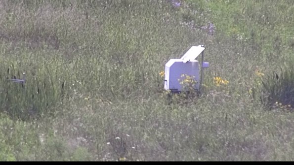 capture-4-23-07-31_16-52-41-45