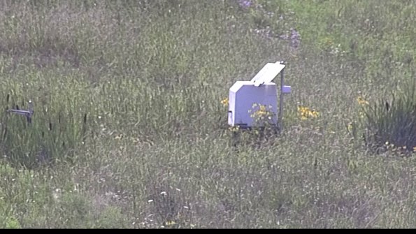 capture-4-23-07-31_17-07-51-52