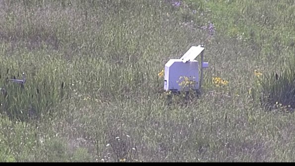 capture-4-23-07-31_17-16-31-38