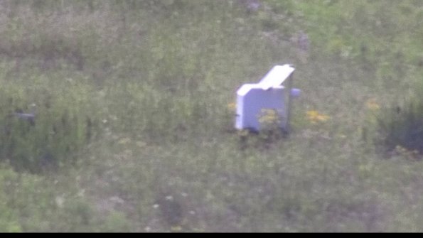 capture-4-23-07-31_17-18-41-55