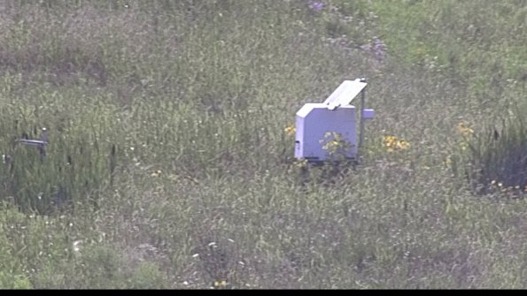 capture-4-23-07-31_17-42-31-75