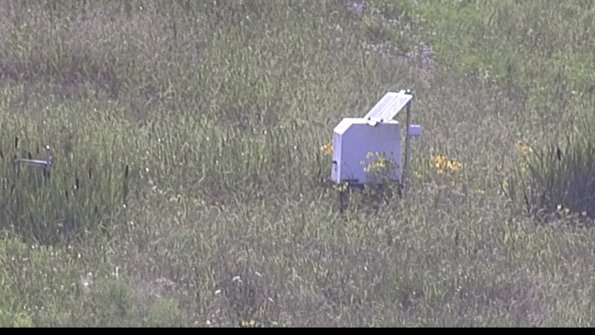 capture-4-23-07-31_17-59-51-56