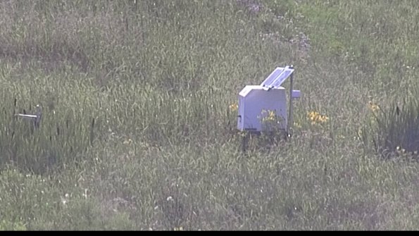 capture-4-23-07-31_18-30-11-42