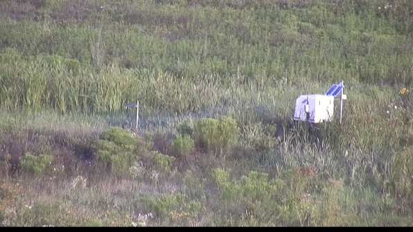 capture-5-23-07-31_07-22-03-25