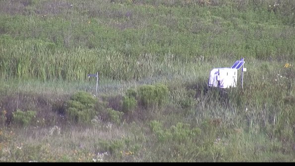 capture-5-23-07-31_08-35-43-19