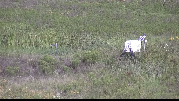 capture-5-23-07-31_10-07-55-15