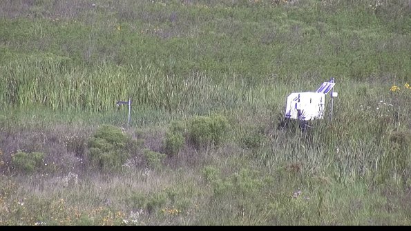 capture-5-23-07-31_10-10-05-21