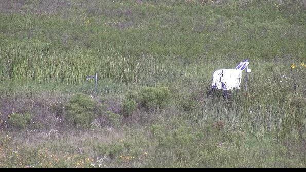 capture-5-23-07-31_10-16-34-94