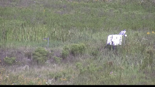 capture-5-23-07-31_10-40-25-01