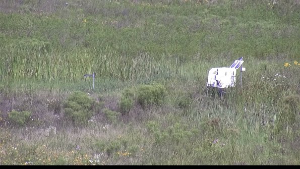 capture-5-23-07-31_10-59-53-85