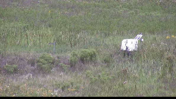 capture-5-23-07-31_11-34-35-31