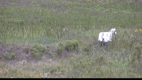 capture-5-23-07-31_11-41-04-83