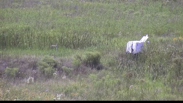 capture-5-23-07-31_15-39-10-85