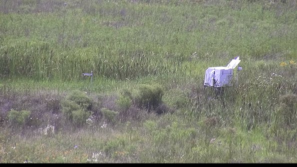 capture-5-23-07-31_16-00-51-02