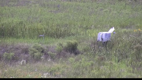 capture-5-23-07-31_16-09-31-01