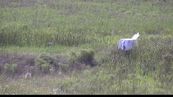 capture-5-23-07-31_16-44-10-73