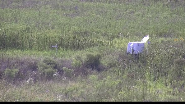 capture-5-23-07-31_17-25-20-85