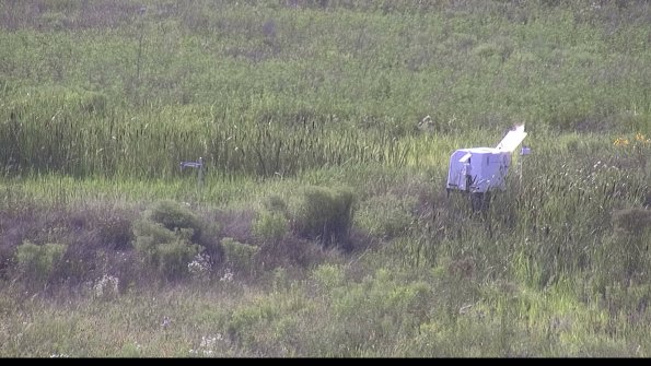 capture-5-23-07-31_17-57-50-94