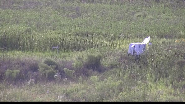 capture-5-23-07-31_18-28-10-90