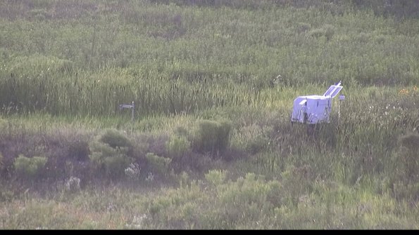 capture-5-23-07-31_19-39-20-79