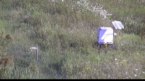 capture-6-23-07-31_09-10-33-26