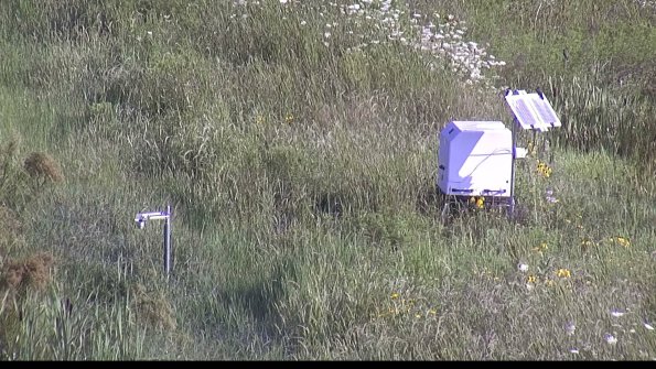 capture-6-23-07-31_09-12-43-05