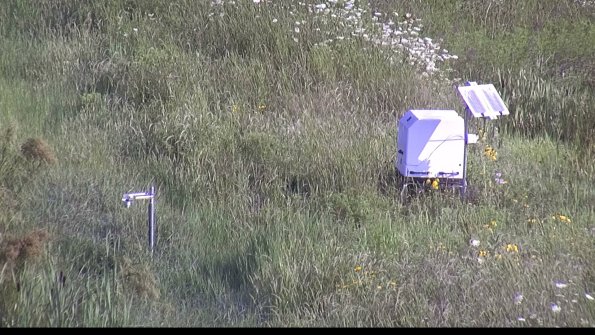 capture-6-23-07-31_09-17-02-41