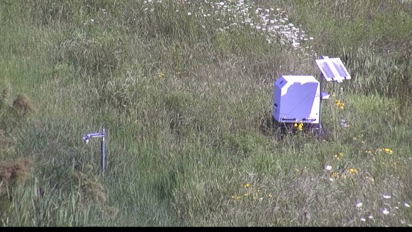 capture-6-23-07-31_10-18-53-88