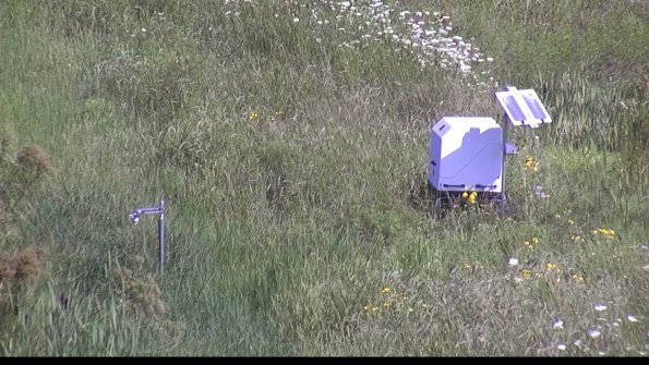 capture-6-23-07-31_10-47-03-54