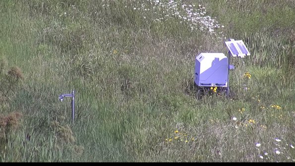 capture-6-23-07-31_11-00-04-23