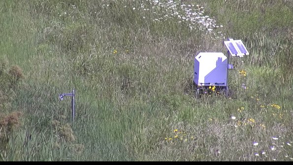 capture-6-23-07-31_11-39-04-34