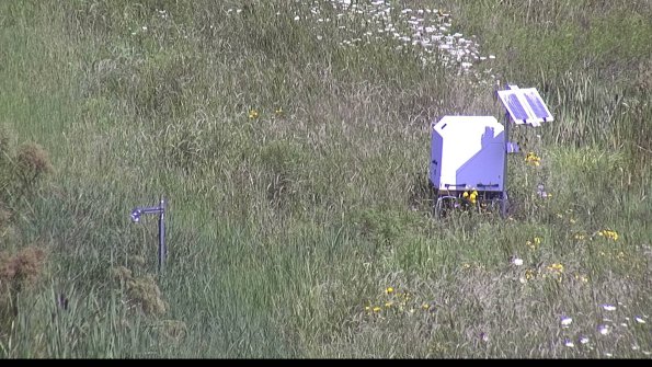 capture-6-23-07-31_11-43-24-30