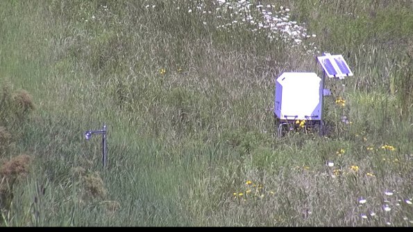 capture-6-23-07-31_13-00-42-27