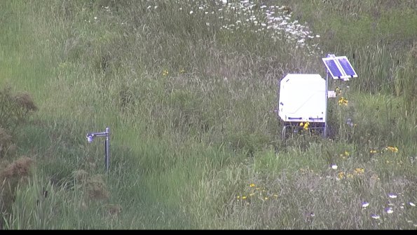 capture-6-23-07-31_15-24-10-11