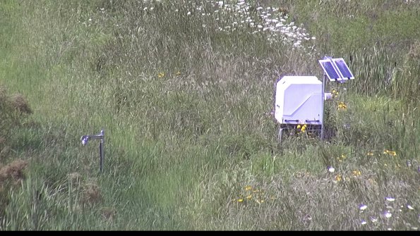 capture-6-23-07-31_16-09-40-29